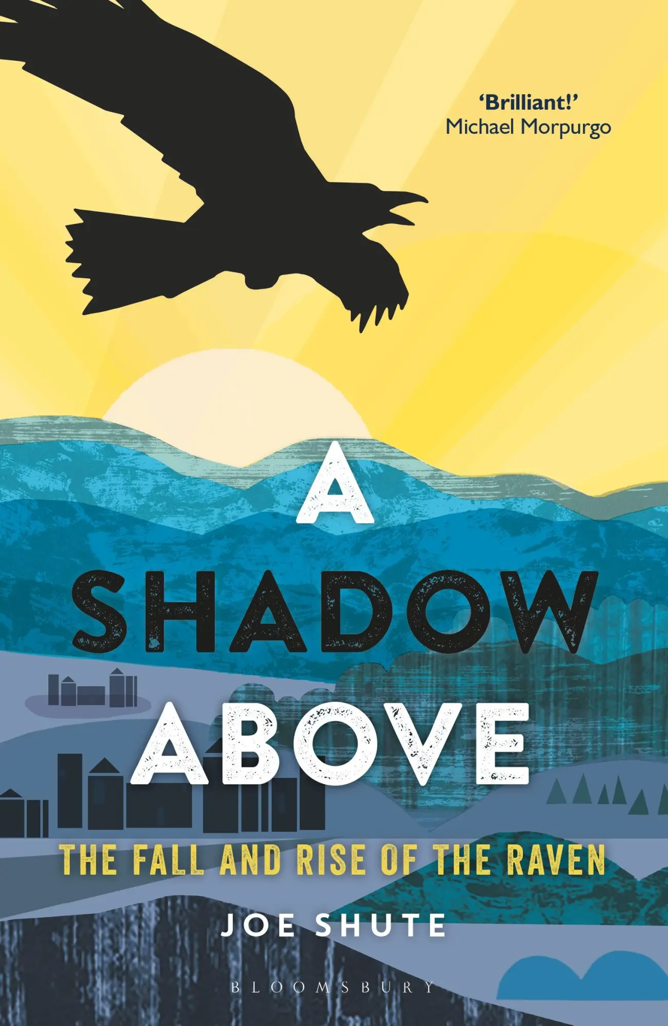 Cover: 9781472940292 | A Shadow Above | The Fall and Rise of the Raven | Joe Shute | Buch
