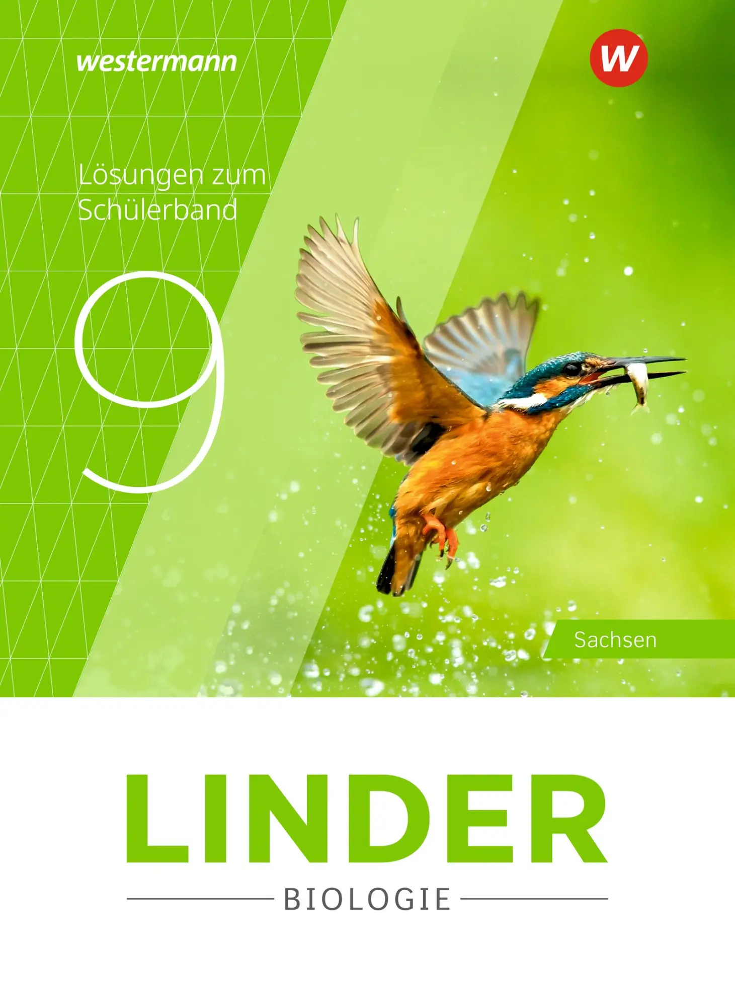 Cover: 9783141530292 | LINDER Biologie SI 9. Lösungen. Für Sachsen | Broschüre | 76 S. | 2023