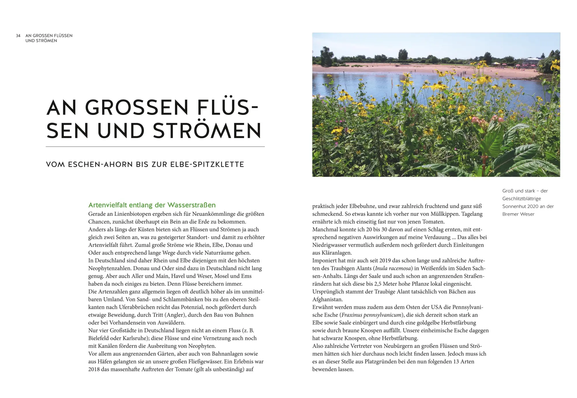 Bild: 9783833880292 | Der Segen der Einwanderer | Jürgen Feder | Buch | Garten | 208 S.