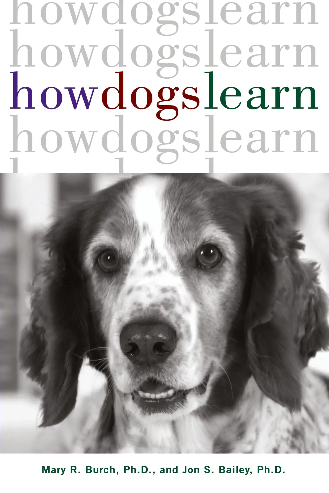 Cover: 9781630260392 | How Dogs Learn | Mary R. Burch (u. a.) | Taschenbuch | Englisch | 1999