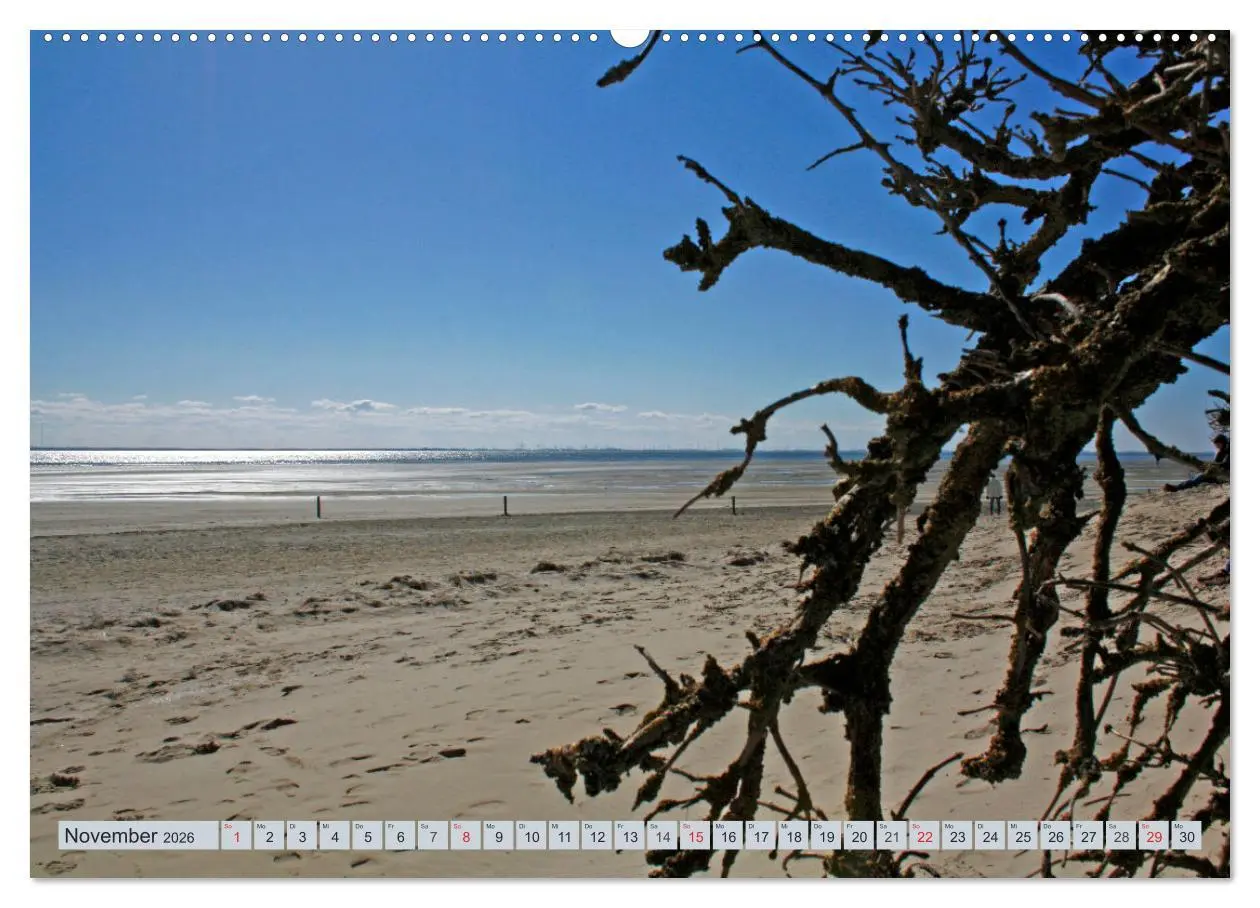 Bild: 9783457670392 | Langeoog - Natur Pur (hochwertiger Premium Wandkalender 2026 DIN A2...