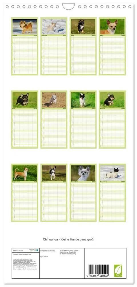Bild: 9783457110492 | Familienplaner 2025 - Chihuahua - Kleine Hunde ganz groß mit 5...