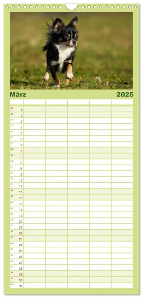 Bild: 9783457110492 | Familienplaner 2025 - Chihuahua - Kleine Hunde ganz groß mit 5...