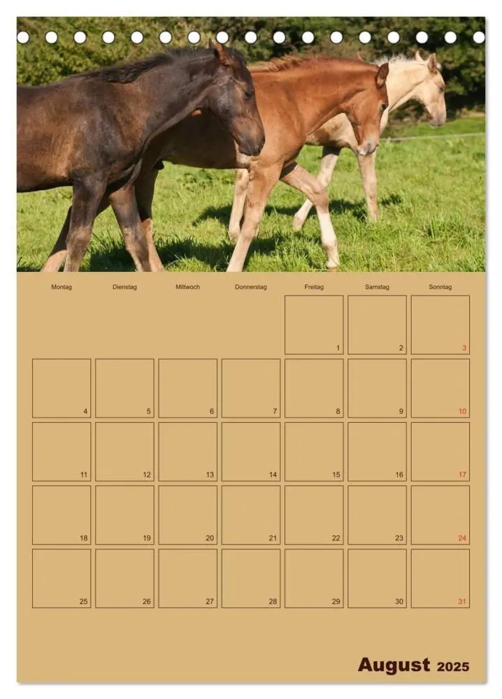 Bild: 9783457030592 | Pferde Gute Freunde (Tischkalender 2025 DIN A5 hoch), CALVENDO...