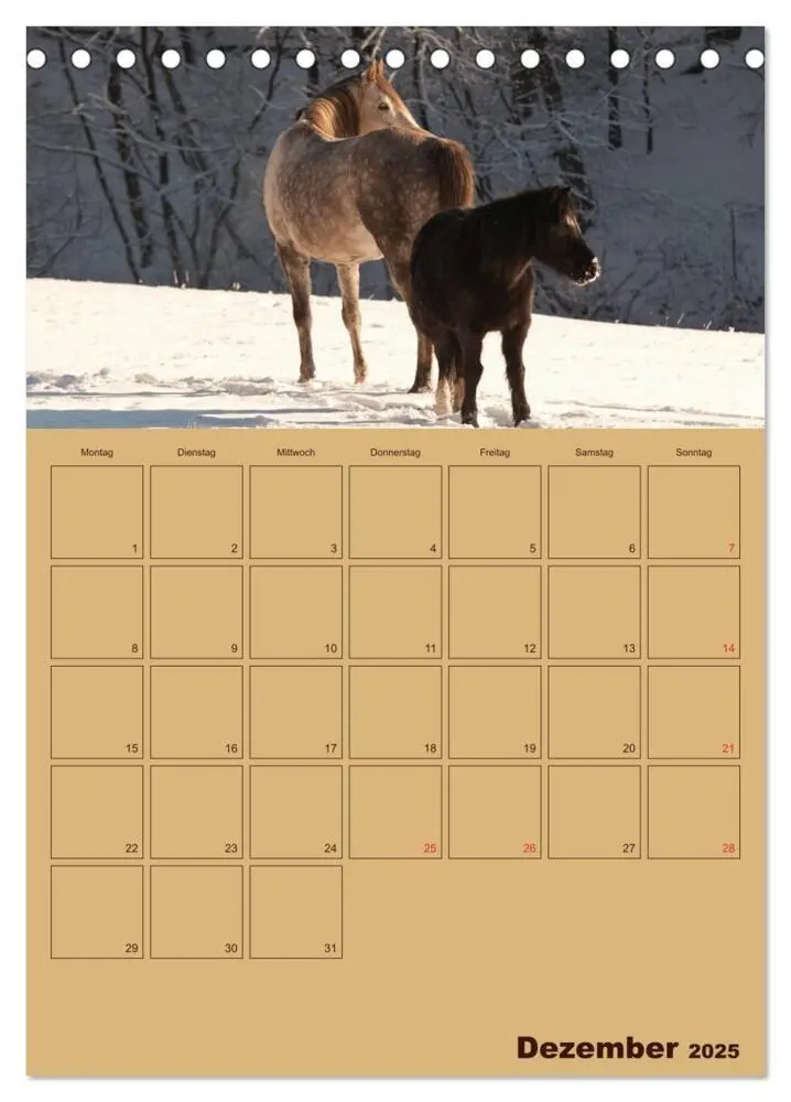 Bild: 9783457030592 | Pferde Gute Freunde (Tischkalender 2025 DIN A5 hoch), CALVENDO...
