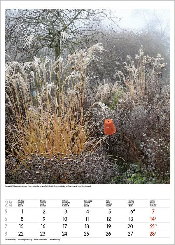 Bild: 9783819300592 | Gartenträume 2027 | Verlag Korsch | Kalender | Spiralbindung | 13 S.
