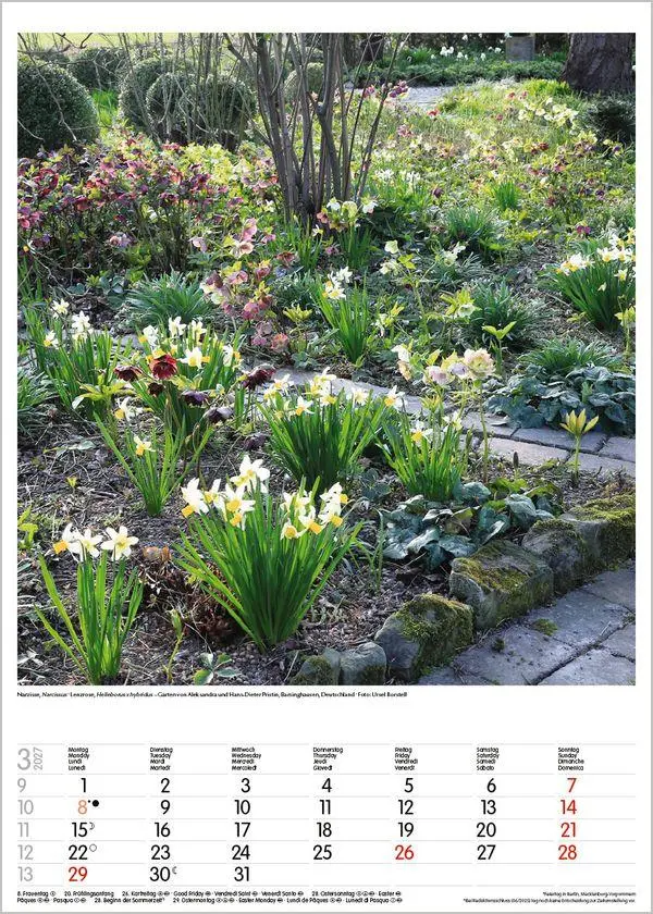 Bild: 9783819300592 | Gartenträume 2027 | Verlag Korsch | Kalender | Spiralbindung | 13 S.