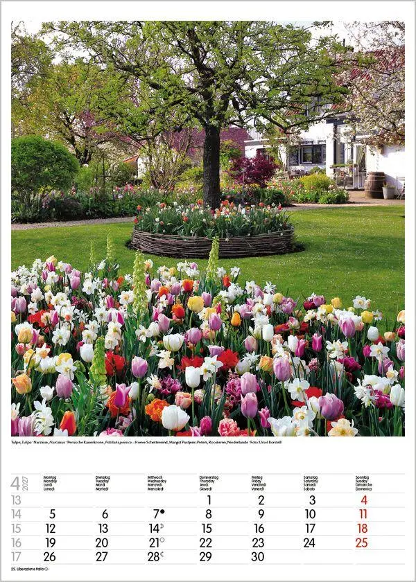 Bild: 9783819300592 | Gartenträume 2027 | Verlag Korsch | Kalender | Spiralbindung | 13 S.
