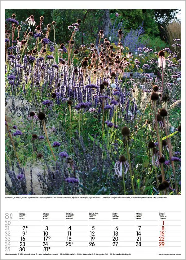 Bild: 9783819300592 | Gartenträume 2027 | Verlag Korsch | Kalender | Spiralbindung | 13 S.