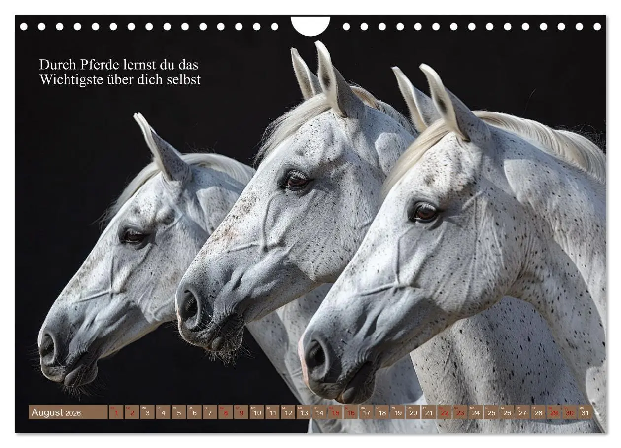 Bild: 9783457330692 | Pferde vervollständigen dein Leben (Wandkalender 2026 DIN A4 quer),...