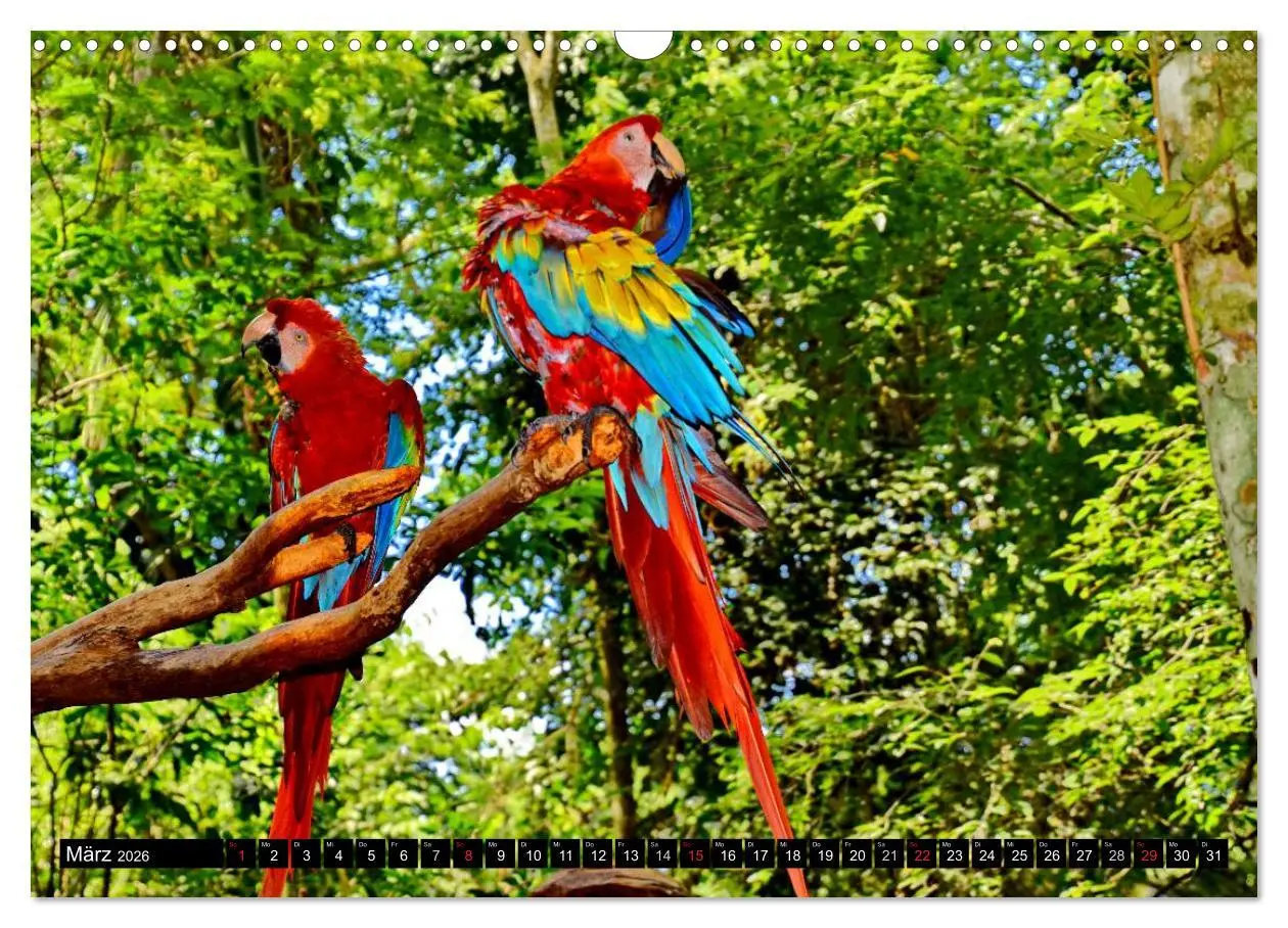 Bild: 9783457950692 | Brasilien - das größte Land Südamerikas (Wandkalender 2026 DIN A3...