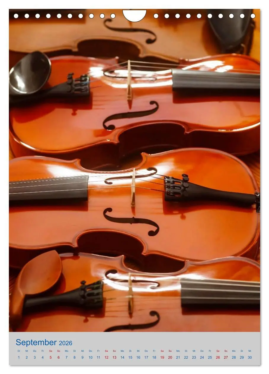 Bild: 9783516420692 | Instrumente - Musikalisch durch das Jahr (Wandkalender 2026 DIN A4...