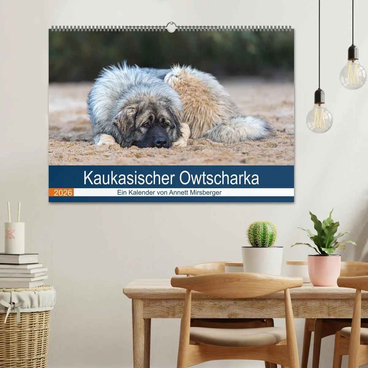 Bild: 9783457630792 | Kaukasischer Owtscharka (Wandkalender 2026 DIN A2 quer), CALVENDO...