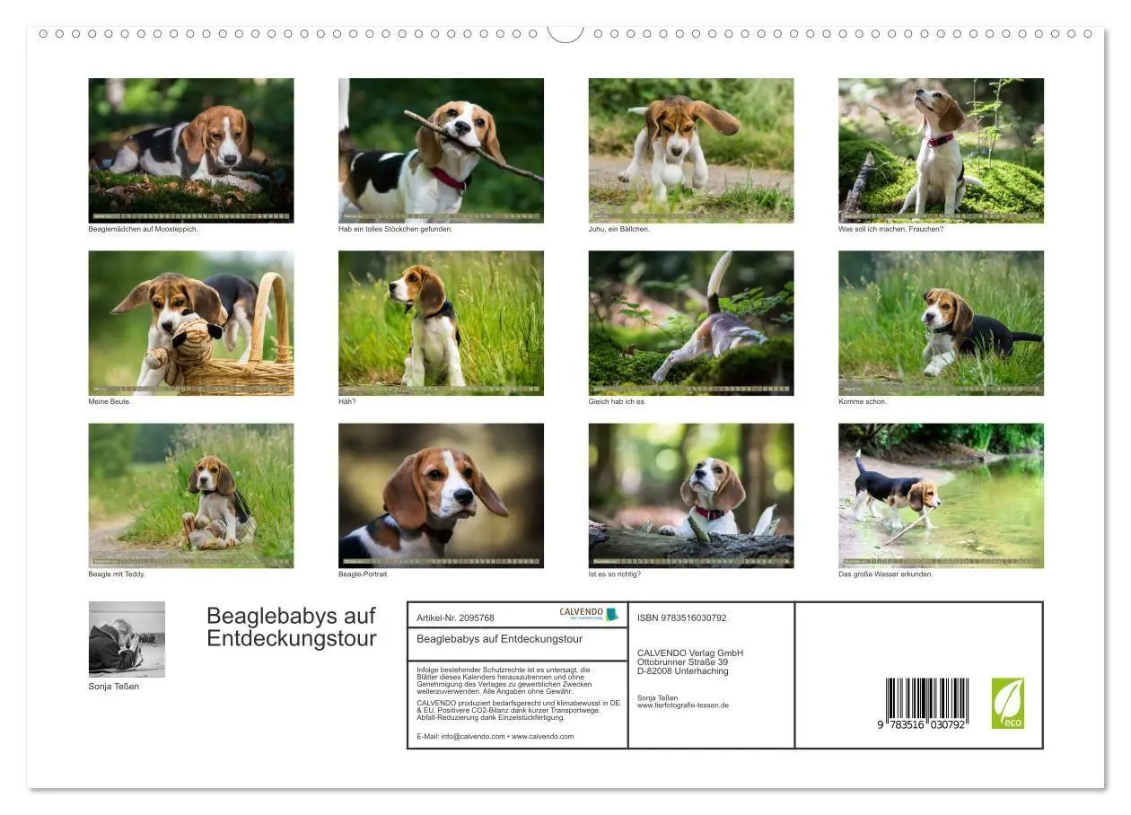 Bild: 9783516030792 | Beaglebabys auf Entdeckungstour (hochwertiger Premium Wandkalender...