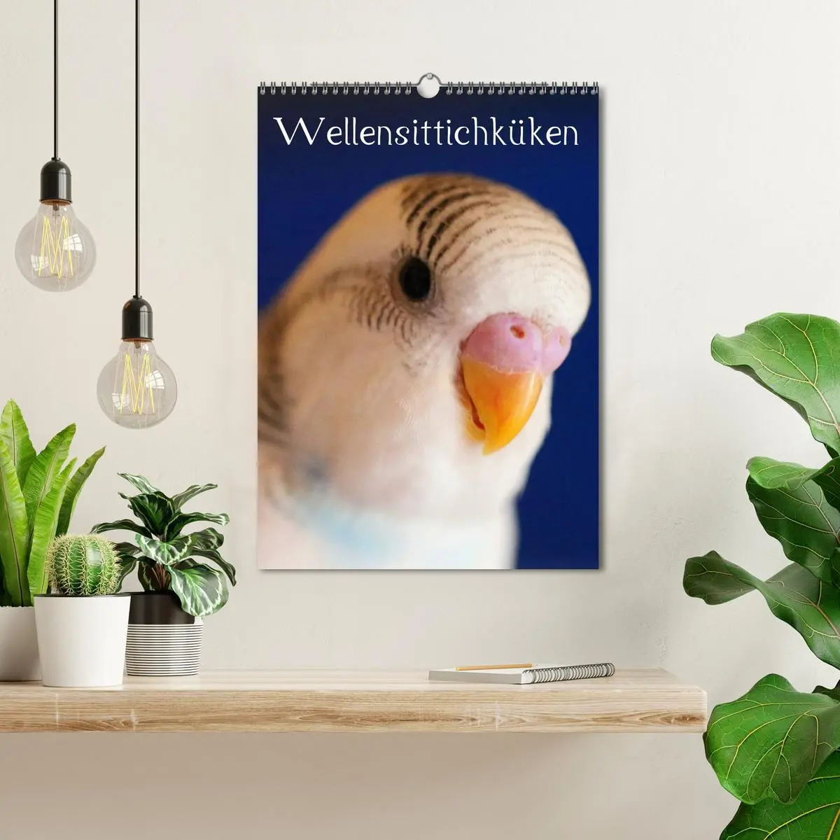 Bild: 9783516410792 | Wellensittichküken (Wandkalender 2026 DIN A3 hoch), CALVENDO...