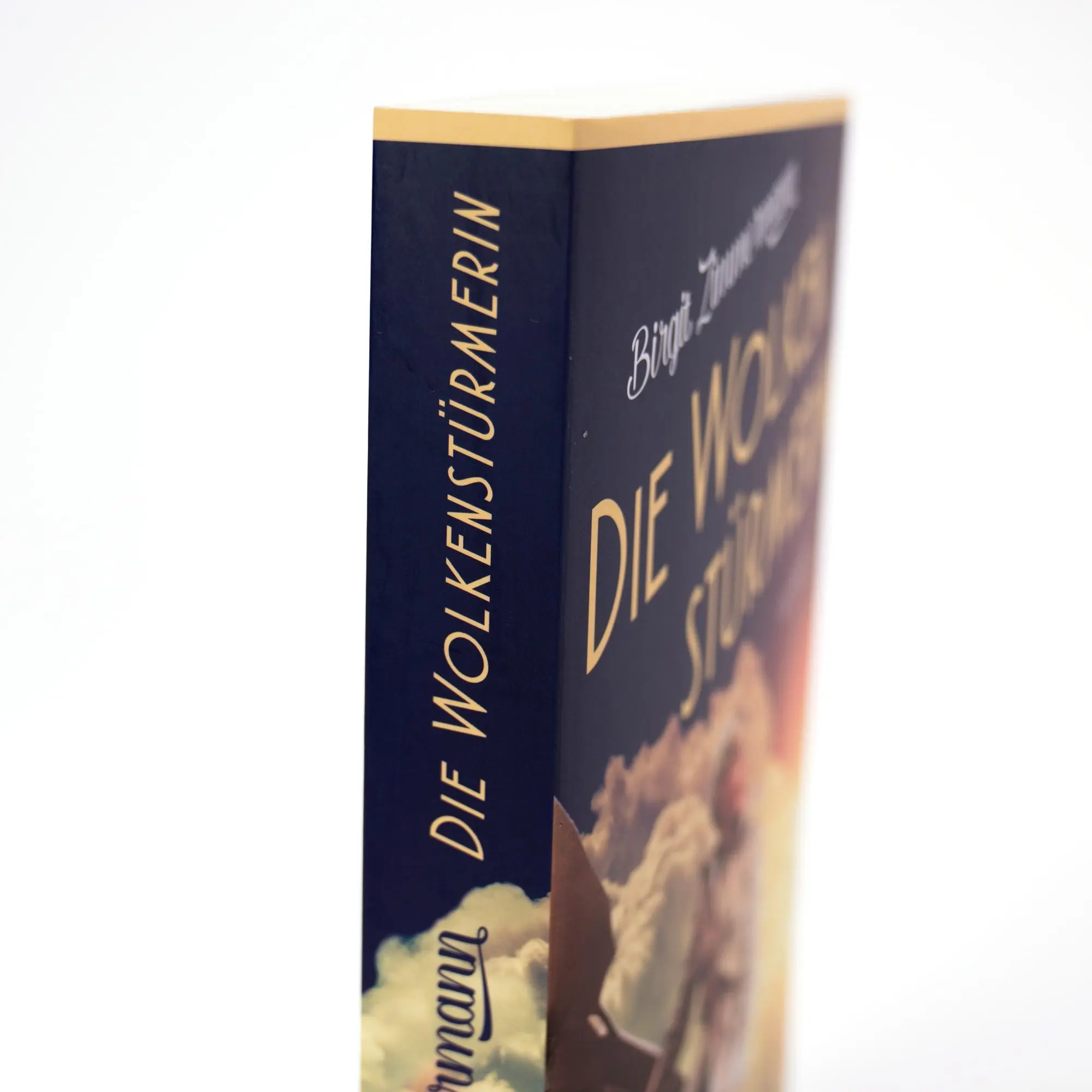 Bild: 9783365000892 | Die Wolkenstürmerin | Roman | Birgit Zimmermann | Taschenbuch | 368 S.