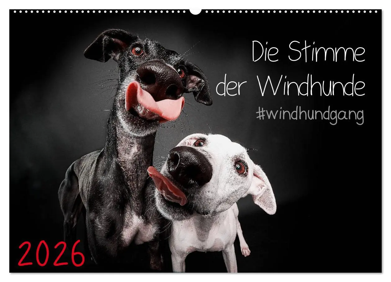 Cover: 9783457790892 | Die Stimme der Windhunde (Wandkalender 2026 DIN A2 quer), CALVENDO...