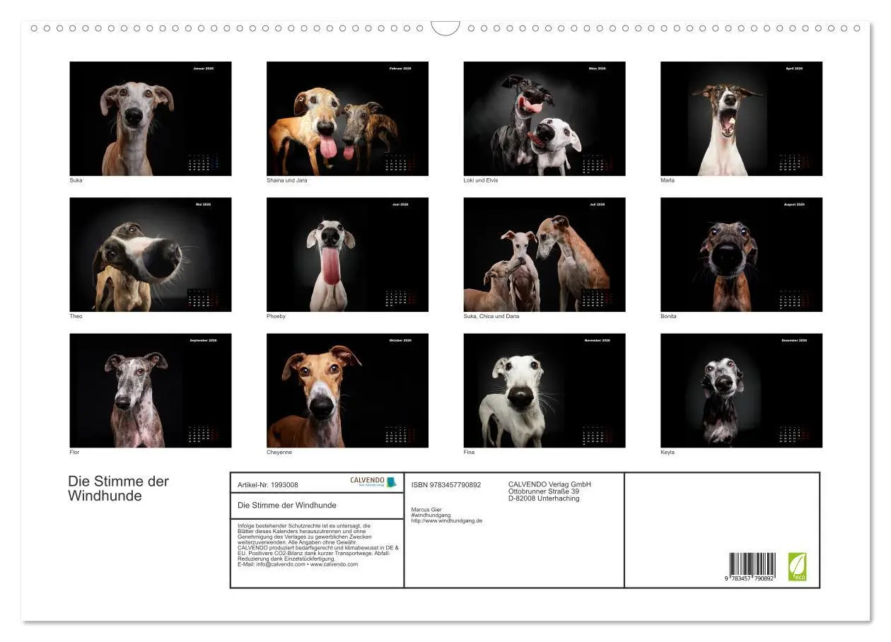 Bild: 9783457790892 | Die Stimme der Windhunde (Wandkalender 2026 DIN A2 quer), CALVENDO...