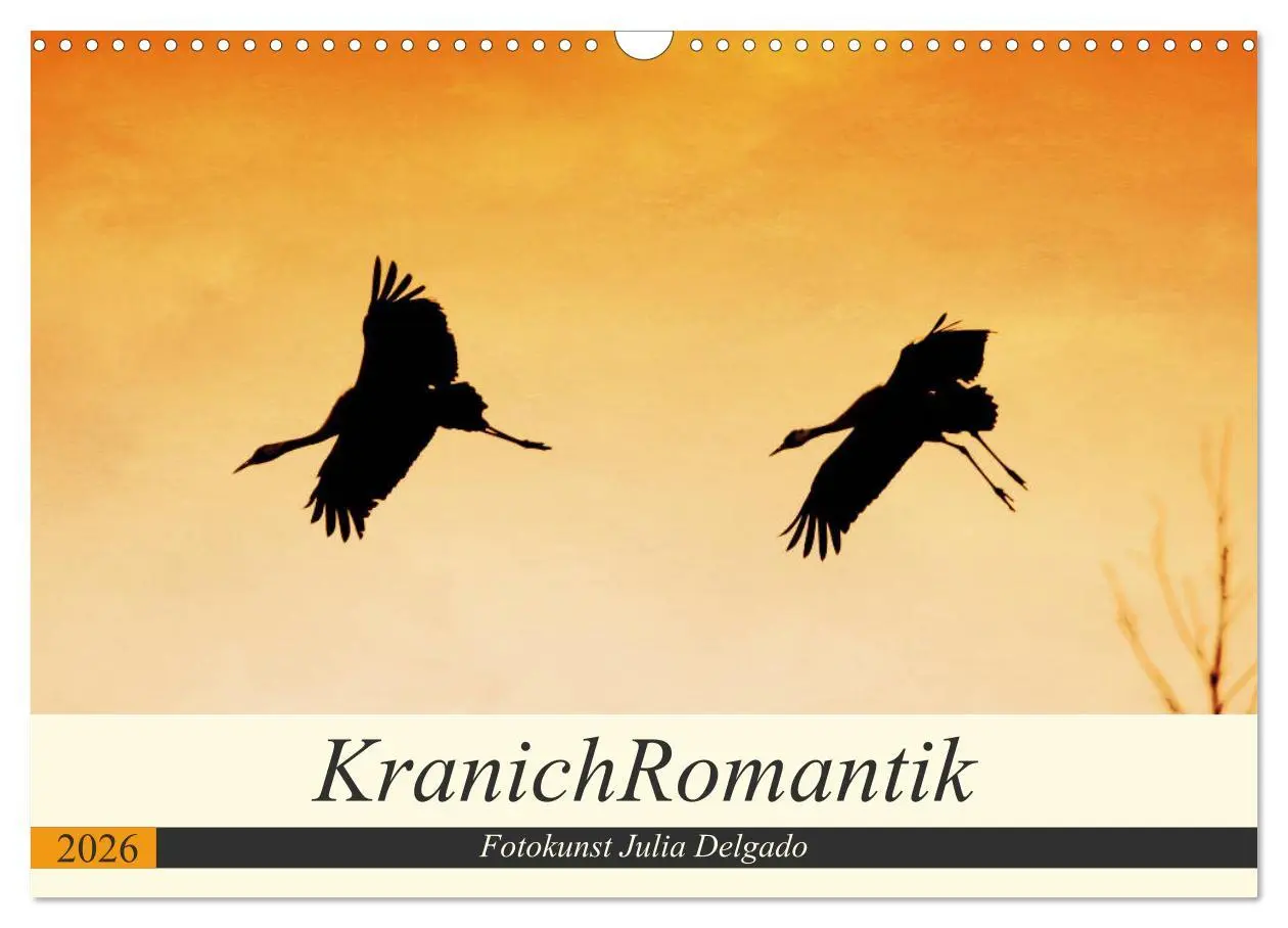 Cover: 9783457930892 | KranichRomantik (Wandkalender 2026 DIN A3 quer), CALVENDO...