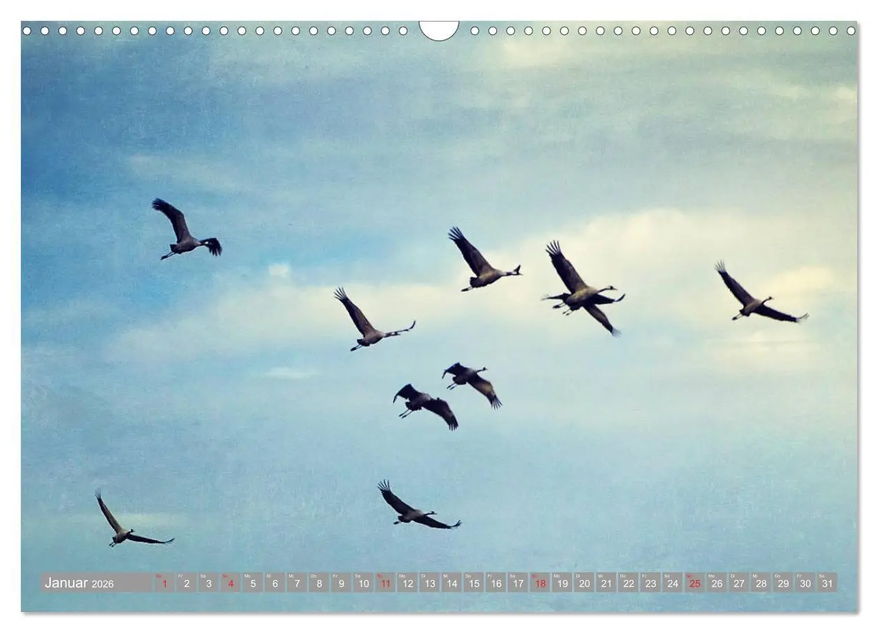 Bild: 9783457930892 | KranichRomantik (Wandkalender 2026 DIN A3 quer), CALVENDO...