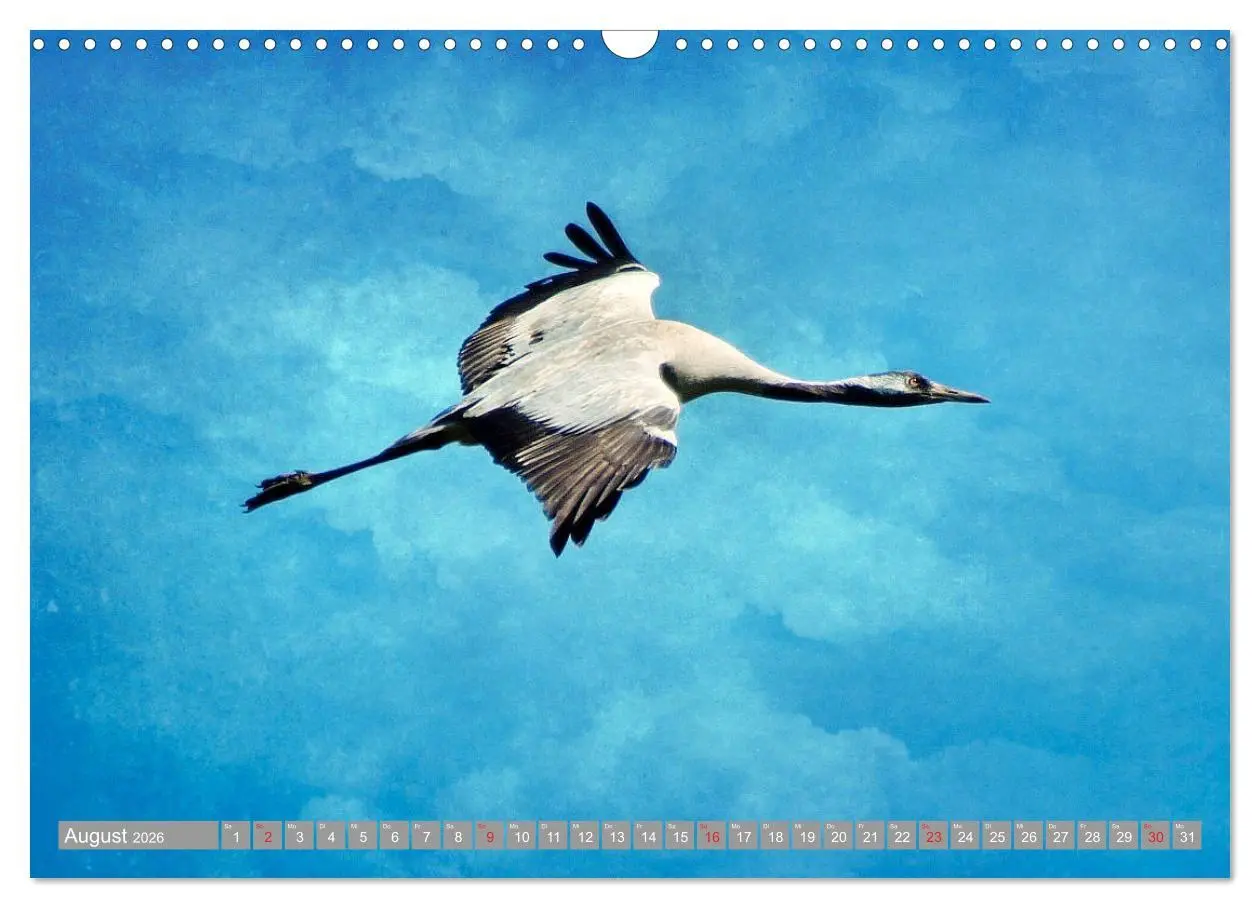 Bild: 9783457930892 | KranichRomantik (Wandkalender 2026 DIN A3 quer), CALVENDO...