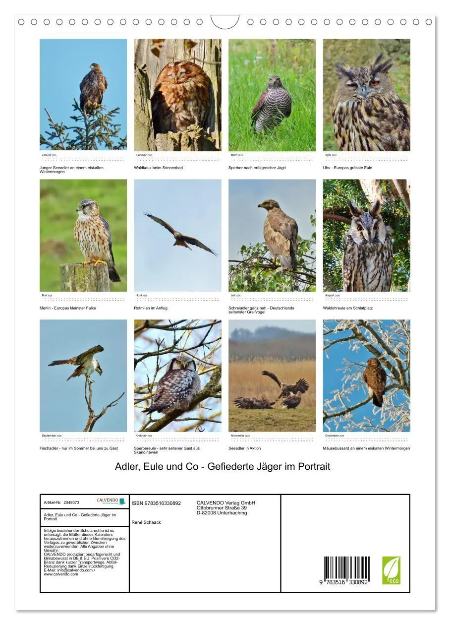 Bild: 9783516330892 | Adler, Eule und Co - Gefiederte Jäger im Portrait (Wandkalender...