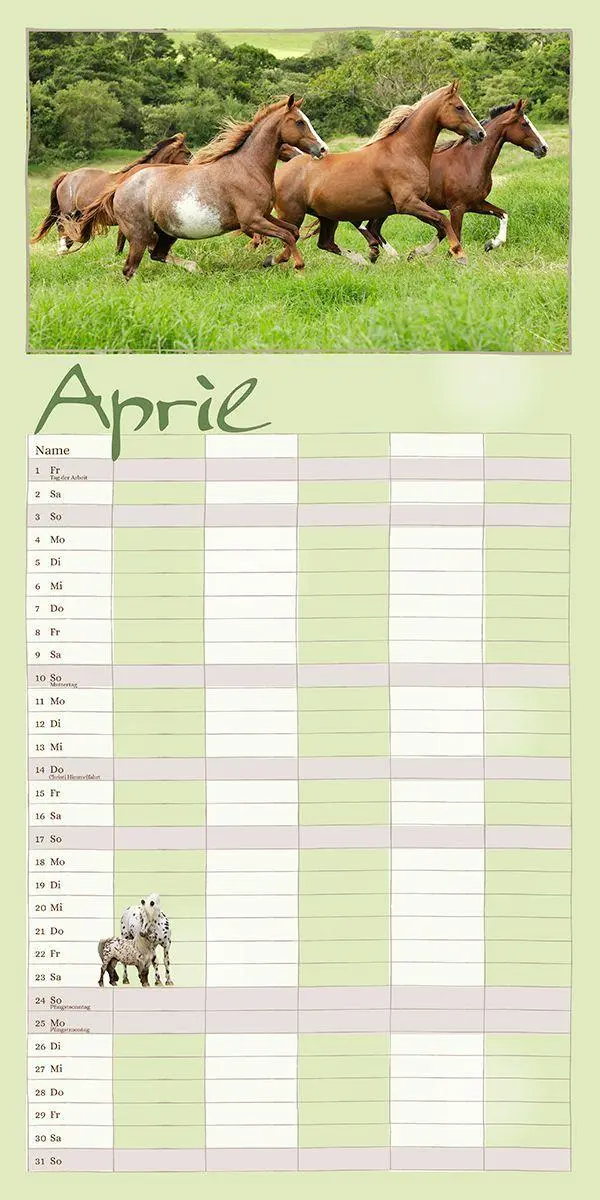 Bild: 9783964120892 | Familienplaner Pferderdeglück 2027 | Gabriele Boiselle | Kalender