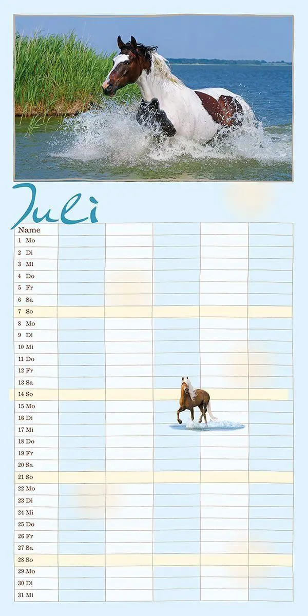 Bild: 9783964120892 | Familienplaner Pferderdeglück 2027 | Gabriele Boiselle | Kalender
