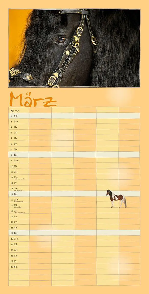 Bild: 9783964120892 | Familienplaner Pferderdeglück 2027 | Gabriele Boiselle | Kalender