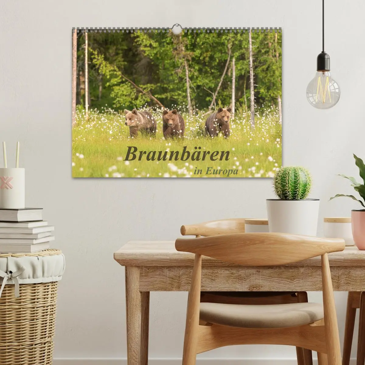 Bild: 9783457780992 | Braunbären in Europa (Wandkalender 2026 DIN A3 quer), CALVENDO...