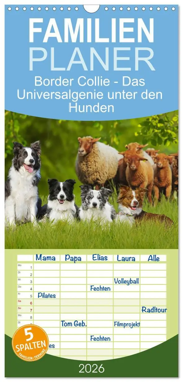 Cover: 9783516490992 | Familienplaner 2026 - Border Collie - Das Universalgenie unter den...