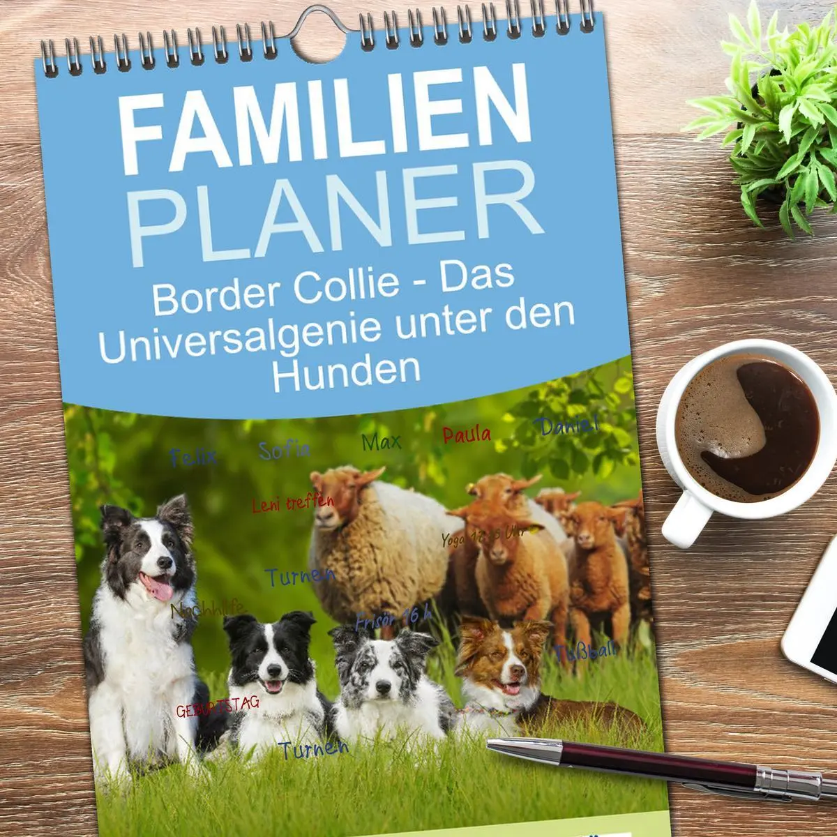 Bild: 9783516490992 | Familienplaner 2026 - Border Collie - Das Universalgenie unter den...