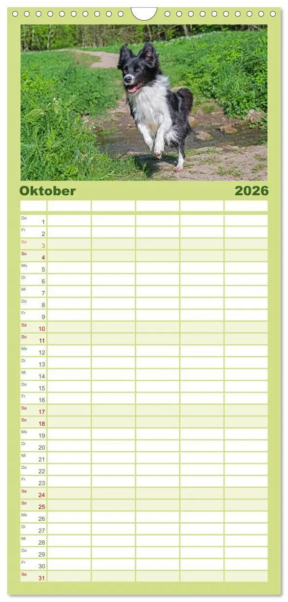 Bild: 9783516490992 | Familienplaner 2026 - Border Collie - Das Universalgenie unter den...