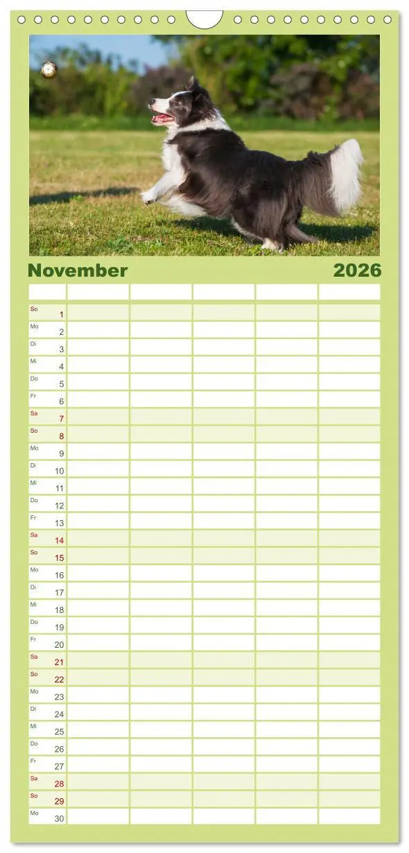Bild: 9783516490992 | Familienplaner 2026 - Border Collie - Das Universalgenie unter den...
