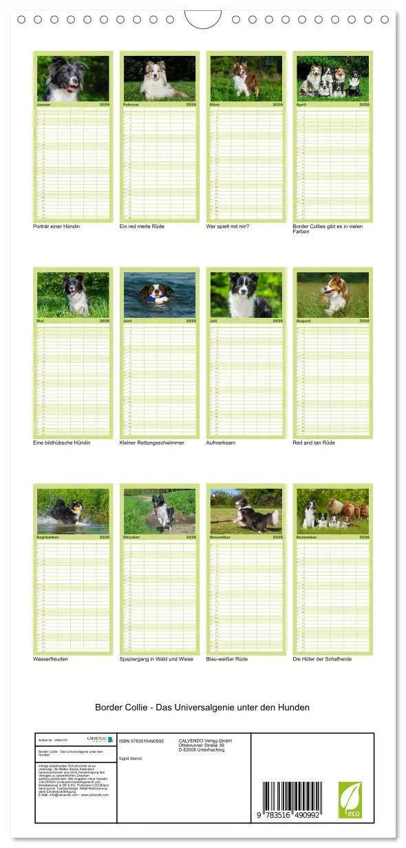 Bild: 9783516490992 | Familienplaner 2026 - Border Collie - Das Universalgenie unter den...