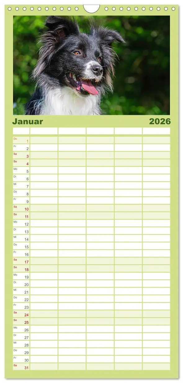 Bild: 9783516490992 | Familienplaner 2026 - Border Collie - Das Universalgenie unter den...