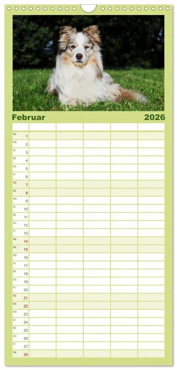 Bild: 9783516490992 | Familienplaner 2026 - Border Collie - Das Universalgenie unter den...
