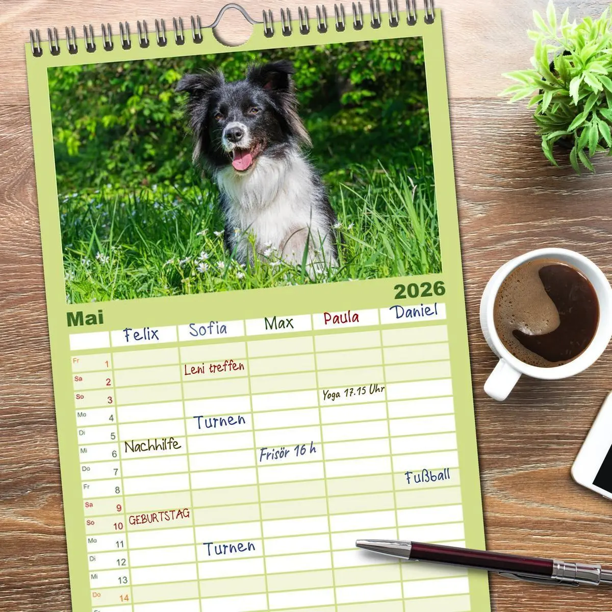 Bild: 9783516490992 | Familienplaner 2026 - Border Collie - Das Universalgenie unter den...