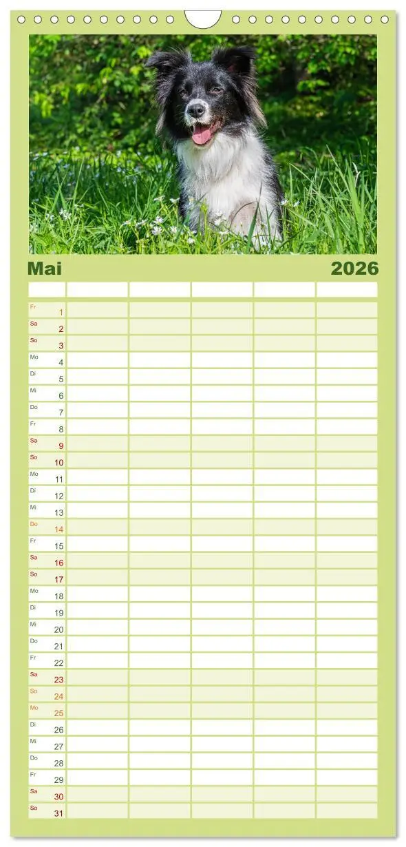 Bild: 9783516490992 | Familienplaner 2026 - Border Collie - Das Universalgenie unter den...
