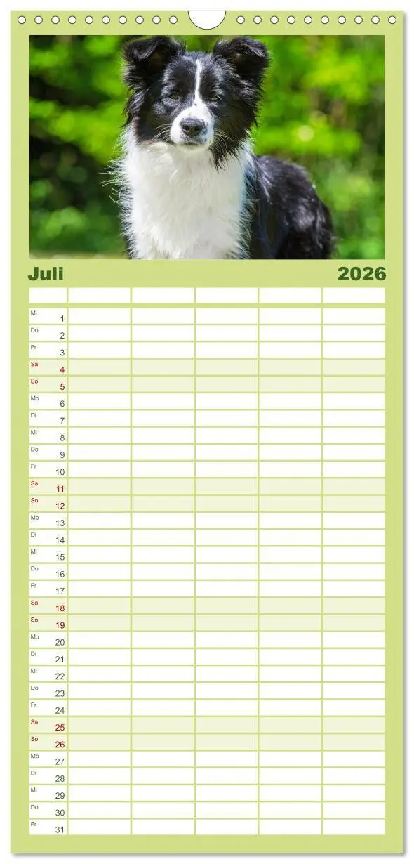 Bild: 9783516490992 | Familienplaner 2026 - Border Collie - Das Universalgenie unter den...