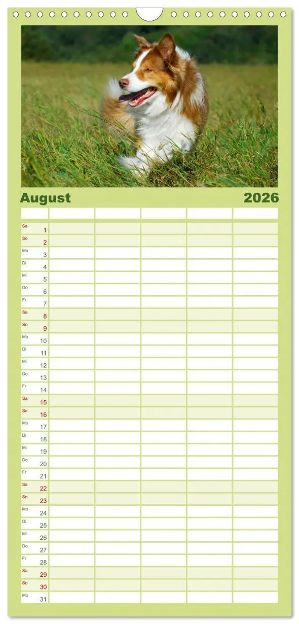 Bild: 9783516490992 | Familienplaner 2026 - Border Collie - Das Universalgenie unter den...