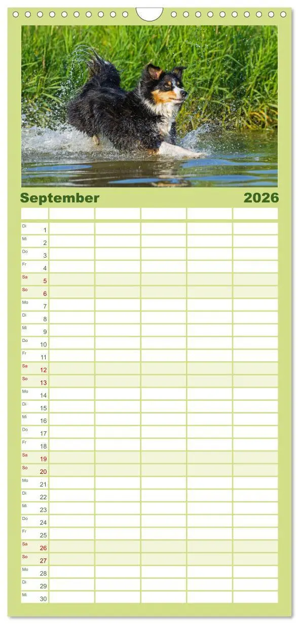 Bild: 9783516490992 | Familienplaner 2026 - Border Collie - Das Universalgenie unter den...