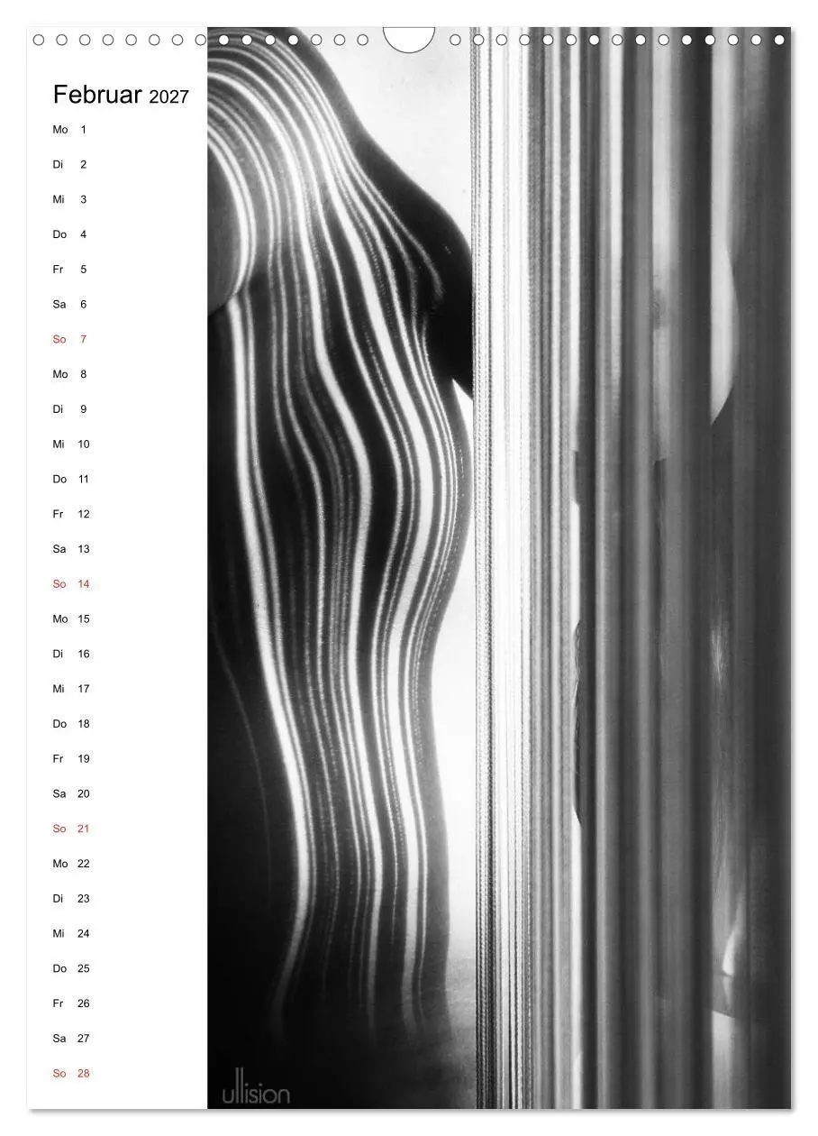 Bild: 9783594160992 | Akt abstrakt (Wandkalender 2027 DIN A3 hoch), CALVENDO Monatskalender