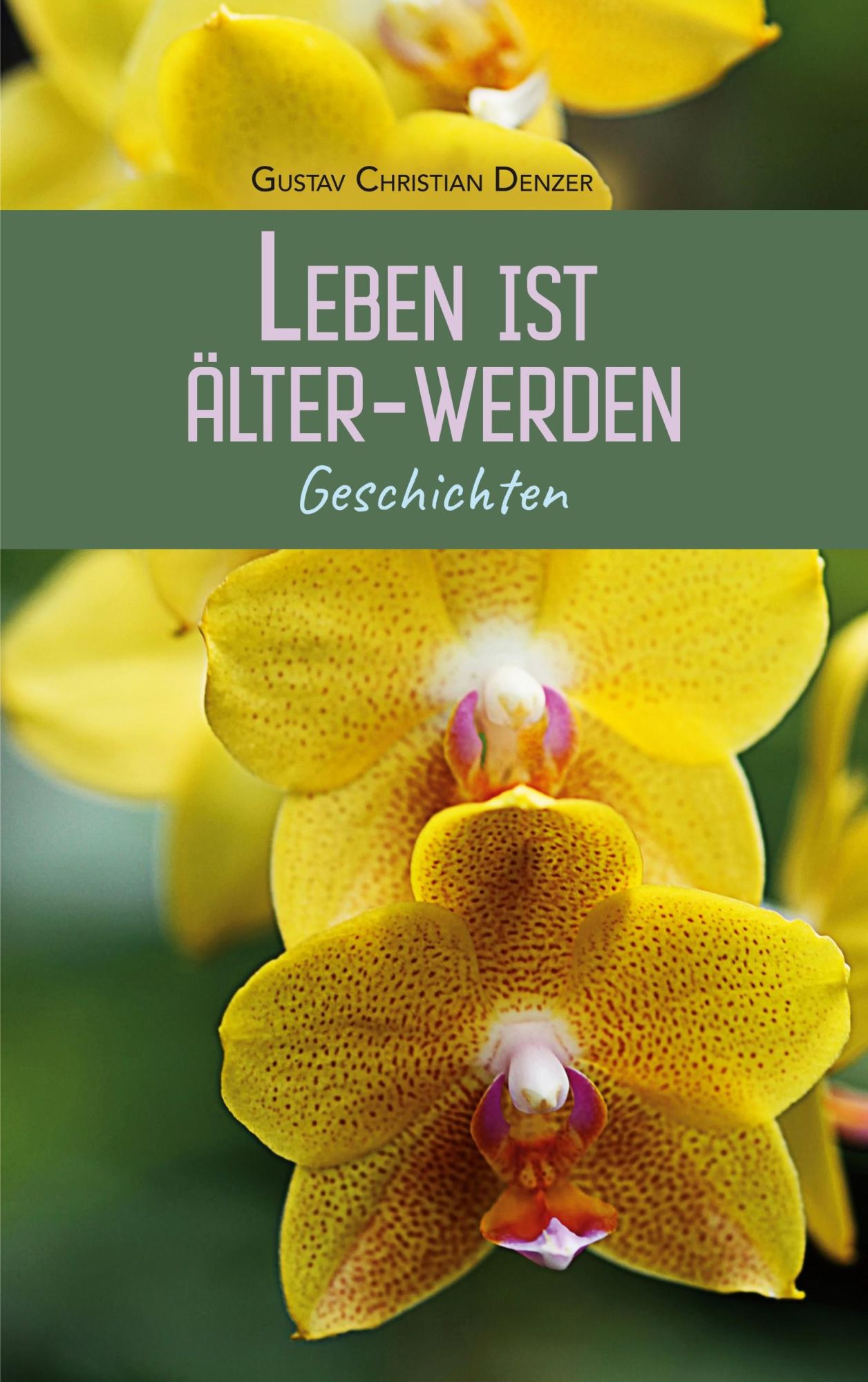 Cover: 9783769320992 | Leben ist Älter-Werden | Geschichten | Gustav Christian Denzer | Buch