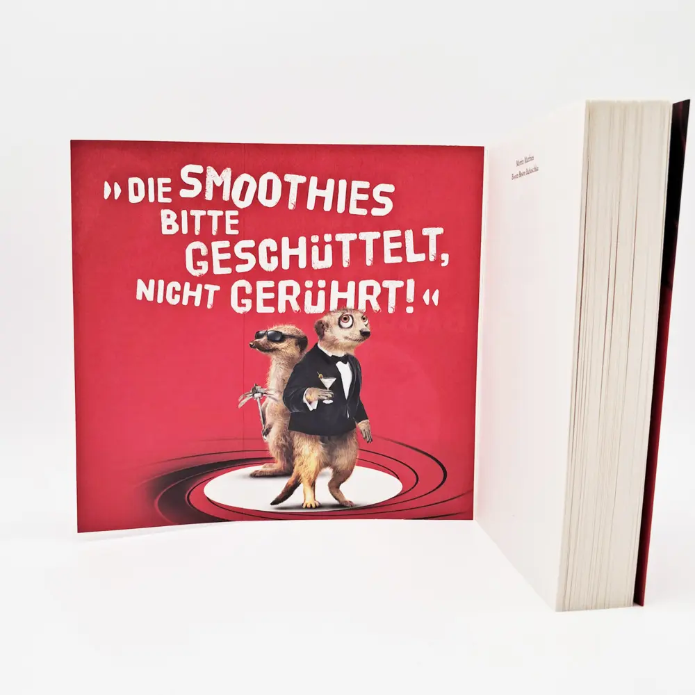 Bild: 9783423221092 | Boom Boom Babuschka | Ein Erdmännchen-Krimi | Moritz Matthies | Buch