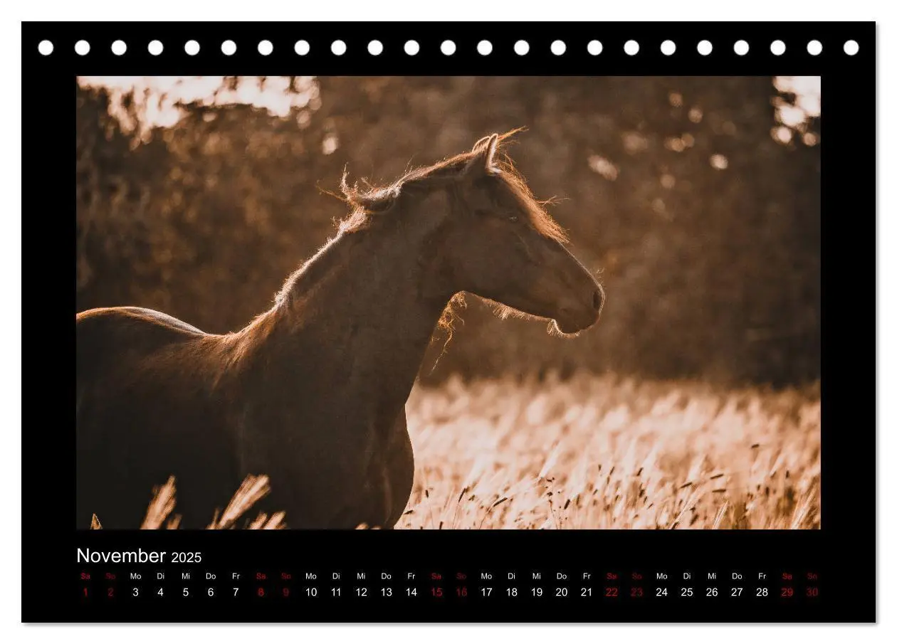 Bild: 9783435271092 | Die Faszinierende Welt der Pferde (Tischkalender 2025 DIN A5 quer),...