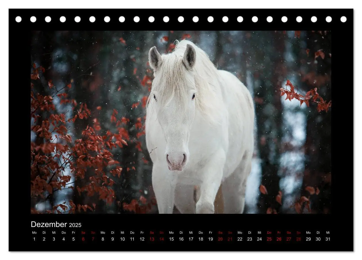 Bild: 9783435271092 | Die Faszinierende Welt der Pferde (Tischkalender 2025 DIN A5 quer),...