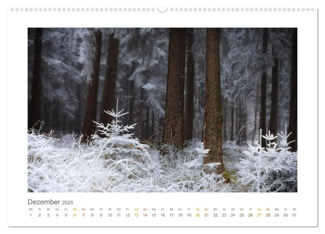 Bild: 9783435411092 | Im Märchenwald des Untertaunus (hochwertiger Premium Wandkalender...