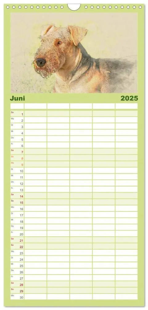 Bild: 9783457121092 | Familienplaner 2025 - Airedale Terrier 2025 mit 5 Spalten...