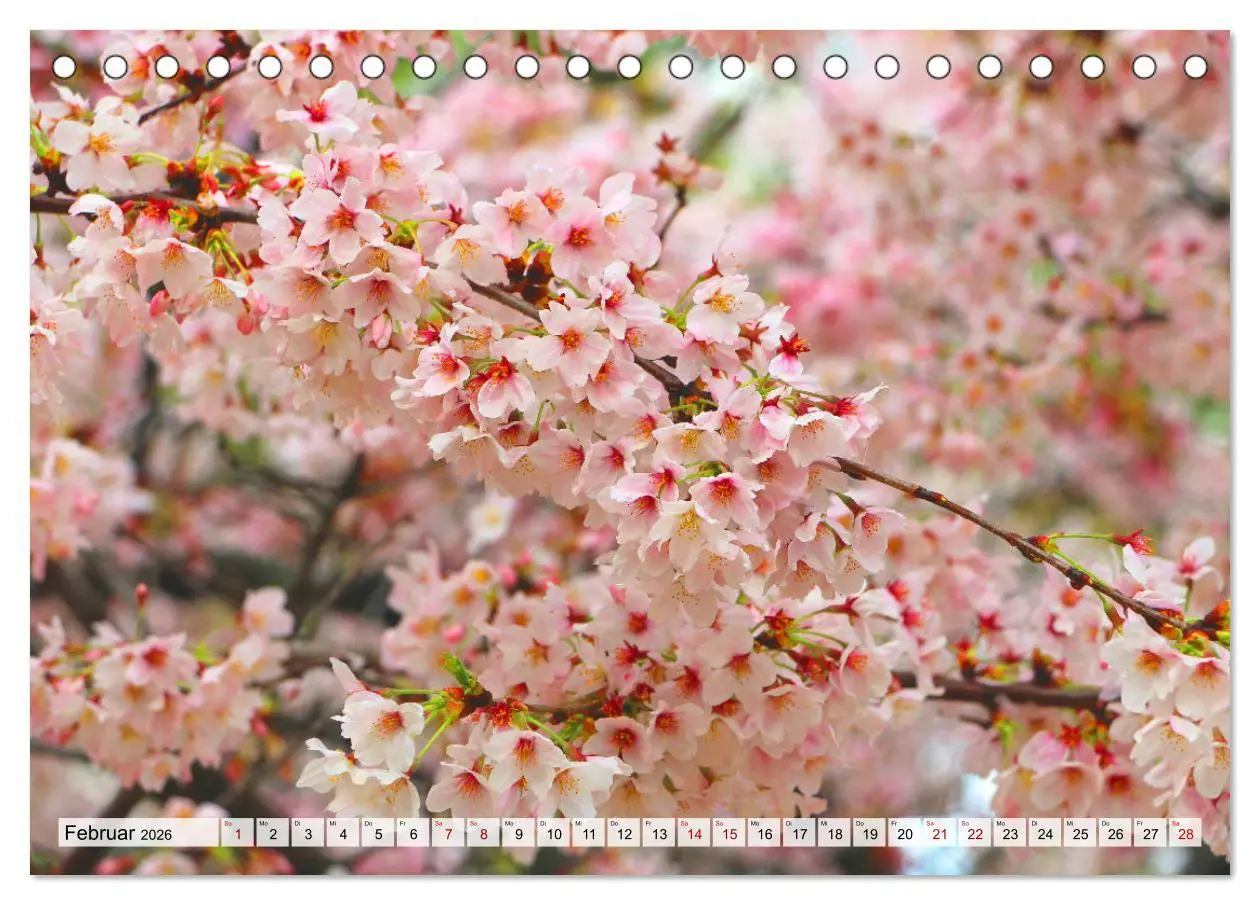 Bild: 9783457671092 | Japan das Land der aufgehenden Sonne (Tischkalender 2026 DIN A5...
